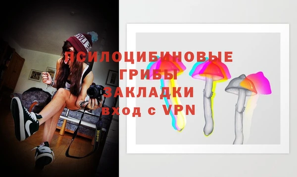 ГАЛЛЮЦИНОГЕННЫЕ ГРИБЫ Алексин